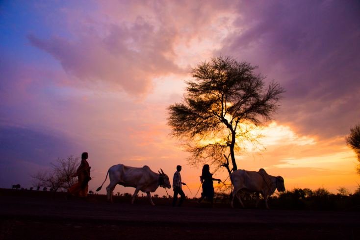 Guide to Kenya Visa for Pakistan